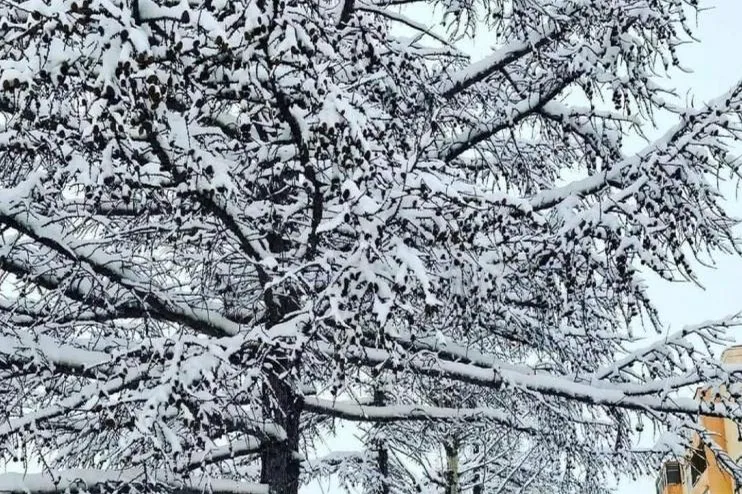 Арванхоёрдугаар сарын цаг агаарын төлөв...