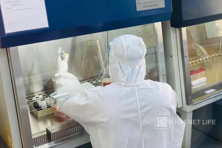 Орхон аймаг: Сүүлийн 24 цагт 205 PCR шинжилгээ хийхэд 33 шинэ халдвар бүртгэгдлээ